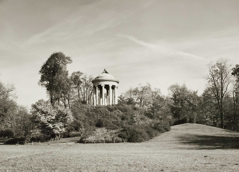 Der Hügel mit Strauchbewuchs, Fotografie, 1969